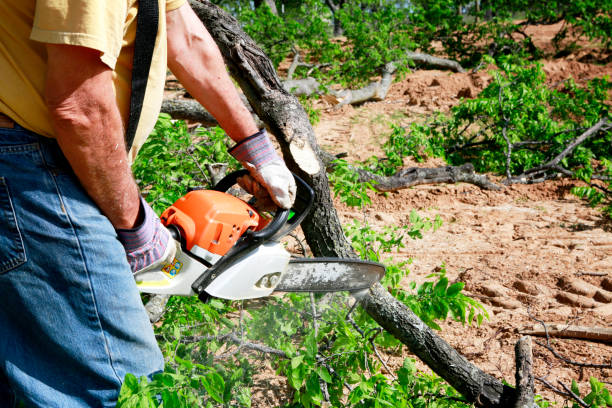  , USA Tree Services Pros